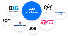 Everything TV network logos