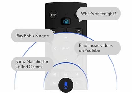 Voice-activated remote